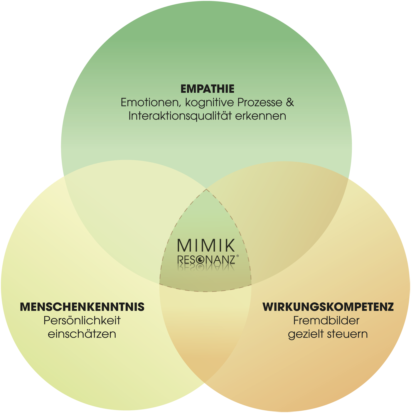 Mimikresonanz Kompetenz-Modell